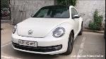 golf_tiguan_beetle_dkl