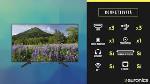 sony_uhd_r8w
