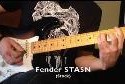 strat_loaded_pickguard_hai